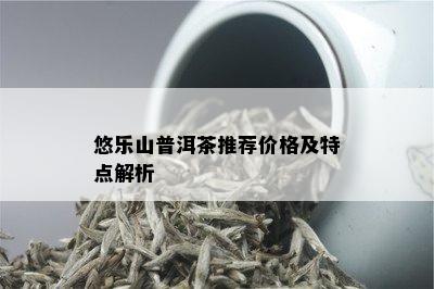 悠乐山普洱茶推荐价格及特点解析