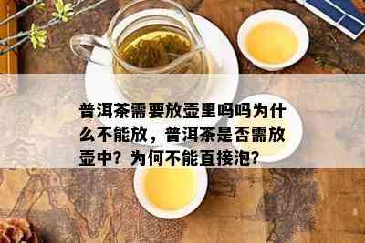 普洱茶需要放壶里吗吗为什么不能放，普洱茶是否需放壶中？为何不能直接泡？