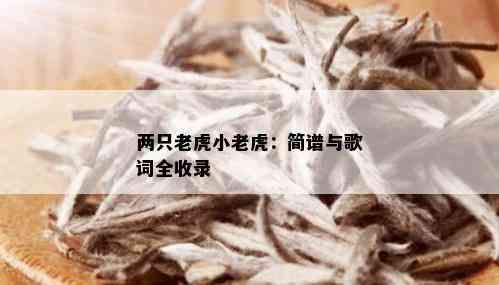 两只老虎小老虎：简谱与歌词全收录