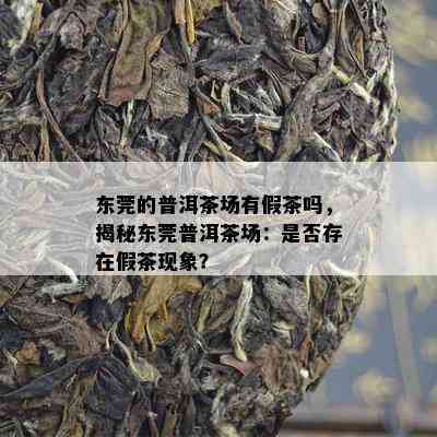 东莞的普洱茶场有假茶吗，揭秘东莞普洱茶场：是否存在假茶现象？