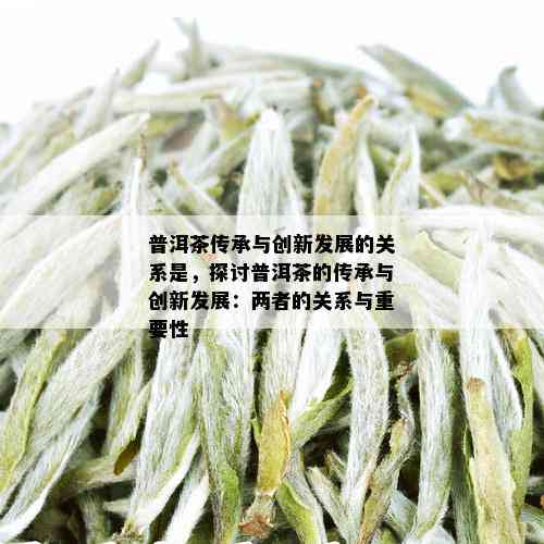 普洱茶传承与创新发展的关系是，探讨普洱茶的传承与创新发展：两者的关系与重要性