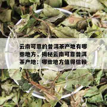 云南可靠的普洱茶产地有哪些地方，揭秘云南可靠普洱茶产地：哪些地方值得信赖？