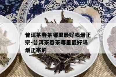 普洱茶春茶哪里更好喝最正宗-普洱茶春茶哪里更好喝最正宗的