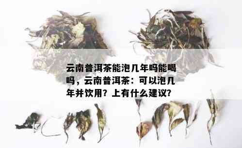 云南普洱茶能泡几年吗能喝吗，云南普洱茶：可以泡几年并饮用？上有什么建议？