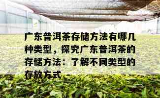 广东普洱茶存储方法有哪几种类型，探究广东普洱茶的存储方法：了解不同类型的存放方式