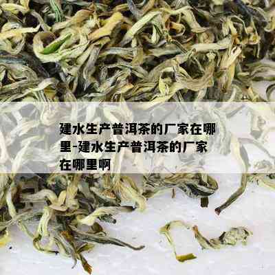 建水生产普洱茶的厂家在哪里-建水生产普洱茶的厂家在哪里啊