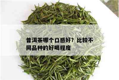 普洱茶哪个口感好？比较不同品种的好喝程度