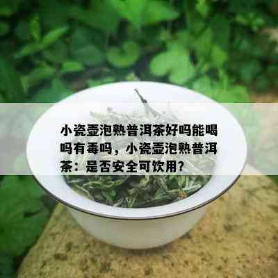 小瓷壶泡熟普洱茶好吗能喝吗有吗，小瓷壶泡熟普洱茶：是否安全可饮用？