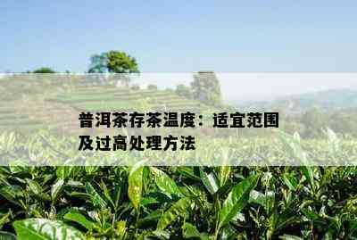 普洱茶存茶温度：适宜范围及过高处理方法