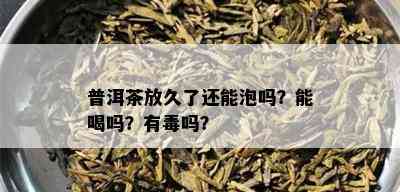 普洱茶放久了还能泡吗？能喝吗？有吗？