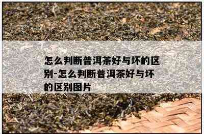 怎么判断普洱茶好与坏的区别-怎么判断普洱茶好与坏的区别图片