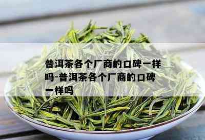 普洱茶各个厂商的口碑一样吗-普洱茶各个厂商的口碑一样吗