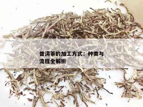 普洱茶的加工方式：种类与流程全解析