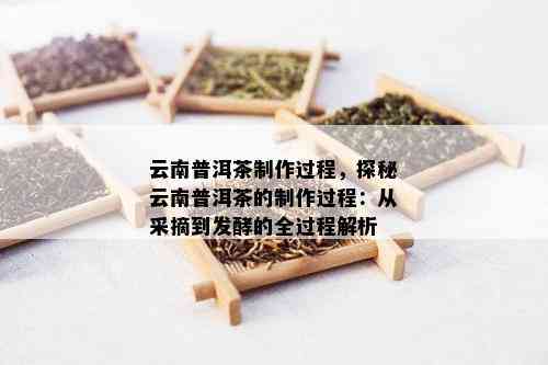 云南普洱茶制作过程，探秘云南普洱茶的制作过程：从采摘到发酵的全过程解析