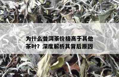 为什么普洱茶价格高于其他茶叶？深度解析其背后原因