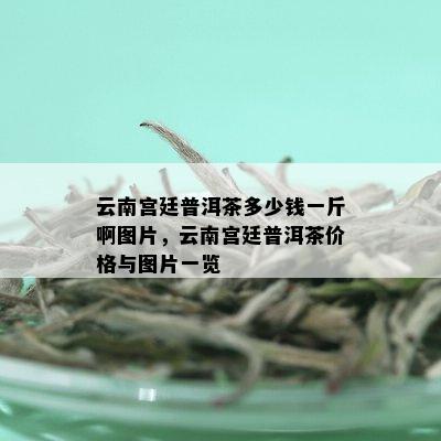 云南宫廷普洱茶多少钱一斤啊图片，云南宫廷普洱茶价格与图片一览