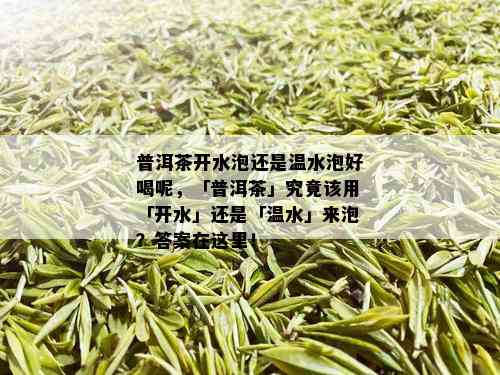 普洱茶开水泡还是温水泡好喝呢，「普洱茶」究竟该用「开水」还是「温水」来泡？答案在这里！