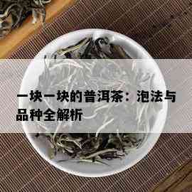 一块一块的普洱茶：泡法与品种全解析