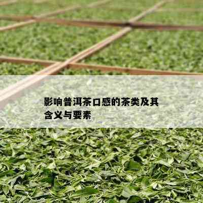 影响普洱茶口感的茶类及其含义与要素