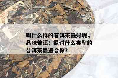 喝什么样的普洱茶更好呢，品味普洱：探讨什么类型的普洱茶最适合你？