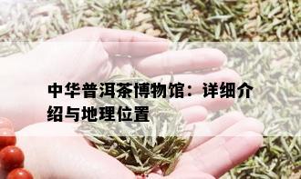 中华普洱茶博物馆：详细介绍与地理位置