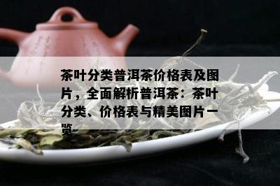 茶叶分类普洱茶价格表及图片，全面解析普洱茶：茶叶分类、价格表与精美图片一览