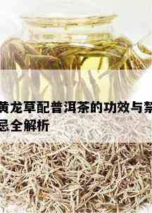 黄龙草配普洱茶的功效与禁忌全解析