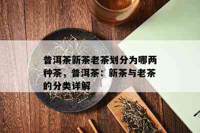 普洱茶新茶老茶划分为哪两种茶，普洱茶：新茶与老茶的分类详解