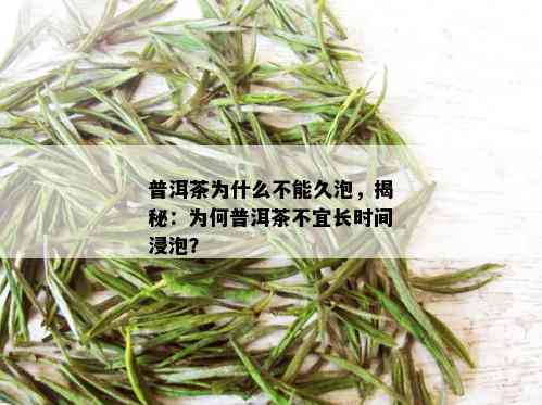 普洱茶为什么不能久泡，揭秘：为何普洱茶不宜长时间浸泡？