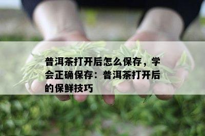 普洱茶打开后怎么保存，学会正确保存：普洱茶打开后的保鲜技巧