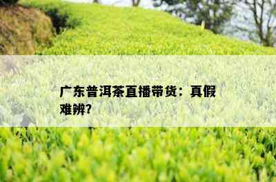 广东普洱茶直播带货：真假难辨？