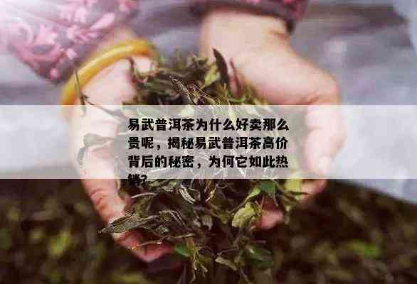 易武普洱茶为什么好卖那么贵呢，揭秘易武普洱茶高价背后的秘密，为何它如此热销？