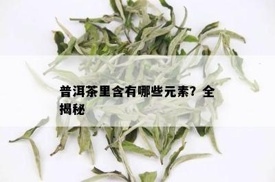 普洱茶里含有哪些元素？全揭秘