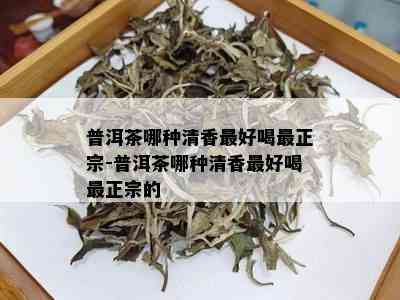 普洱茶哪种清香更好喝最正宗-普洱茶哪种清香更好喝最正宗的