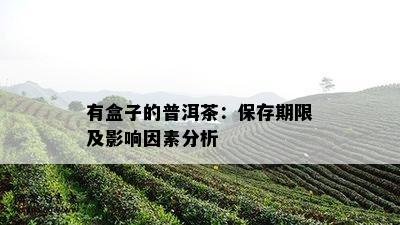 有盒子的普洱茶：保存期限及影响因素分析