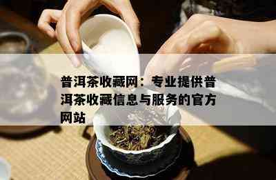 普洱茶收藏网：专业提供普洱茶收藏信息与服务的官方网站