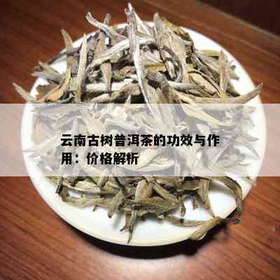 云南古树普洱茶的功效与作用：价格解析