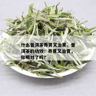 什么普洱茶养胃又治胃，普洱茶的功效：养胃又治胃，你喝对了吗？