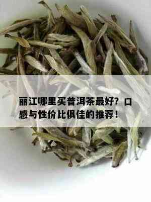 丽江哪里买普洱茶更好？口感与性价比俱佳的推荐！