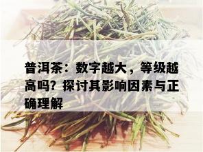 普洱茶：数字越大，等级越高吗？探讨其影响因素与正确理解