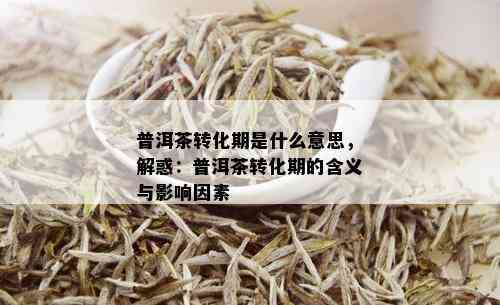 普洱茶转化期是什么意思，解惑：普洱茶转化期的含义与影响因素