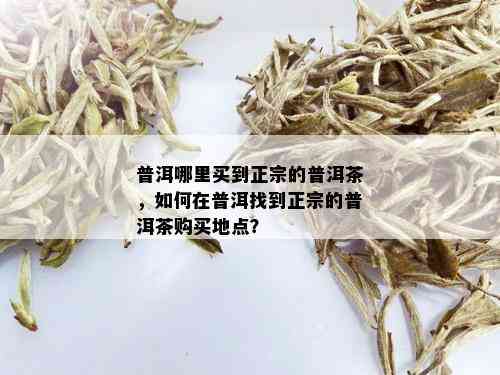 普洱哪里买到正宗的普洱茶，如何在普洱找到正宗的普洱茶购买地点？