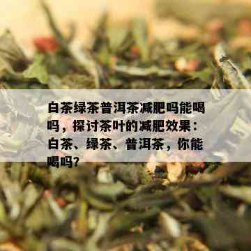 白茶绿茶普洱茶减肥吗能喝吗，探讨茶叶的减肥效果：白茶、绿茶、普洱茶，你能喝吗？