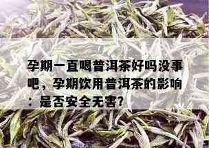 孕期一直喝普洱茶好吗没事吧，孕期饮用普洱茶的影响：是否安全无害？