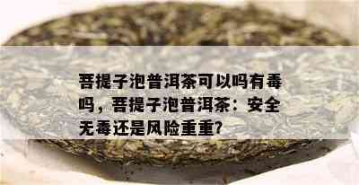 菩提子泡普洱茶可以吗有吗，菩提子泡普洱茶：安全无还是风险重重？