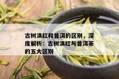 古树滇红和普洱的区别，深度解析：古树滇红与普洱茶的五大区别