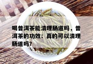 喝普洱茶能清理肠道吗，普洱茶的功效：真的可以清理肠道吗？