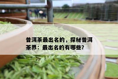 普洱茶最出名的，探秘普洱茶界：最出名的有哪些？