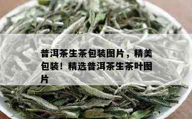 普洱茶生茶包装图片，精美包装！精选普洱茶生茶叶图片