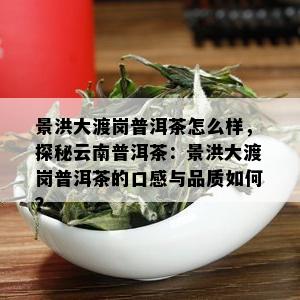 景洪大渡岗普洱茶怎么样，探秘云南普洱茶：景洪大渡岗普洱茶的口感与品质如何？